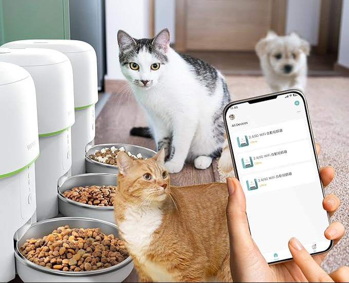 Dispensador comedero automático Inteligente para gatos