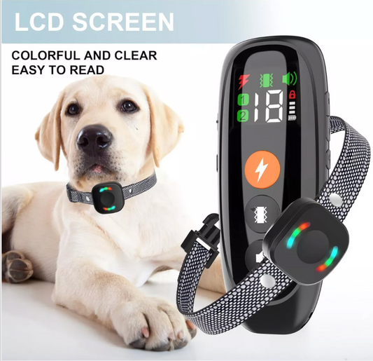 Collar eléctrico de entrenamiento canino recargable