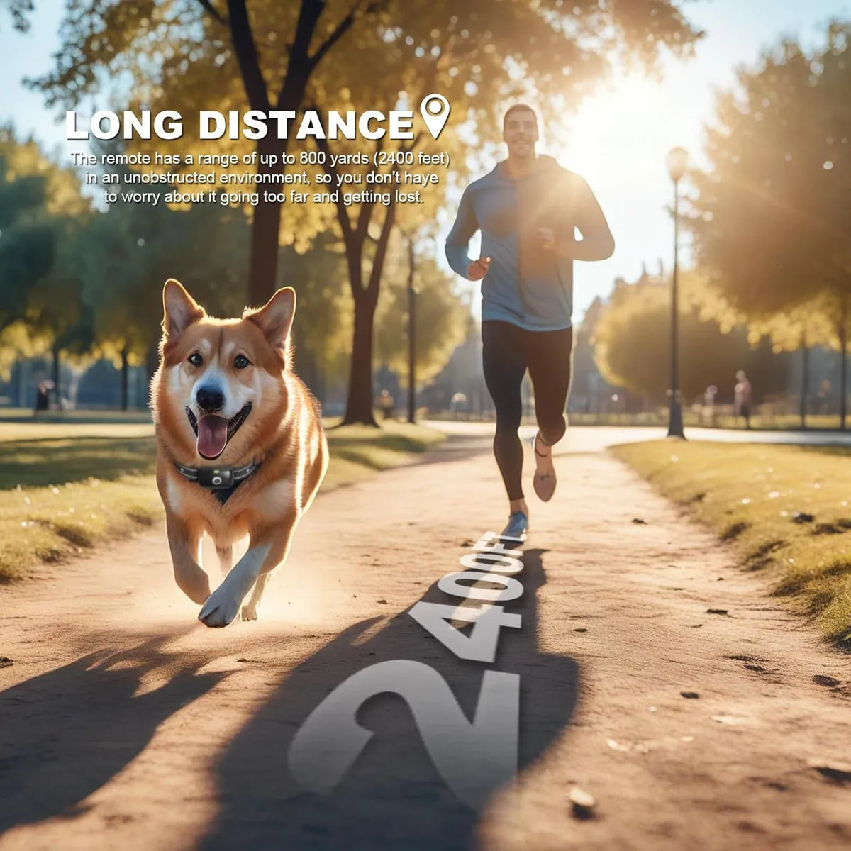 Collares eléctricos para entrenamiento de mascotas