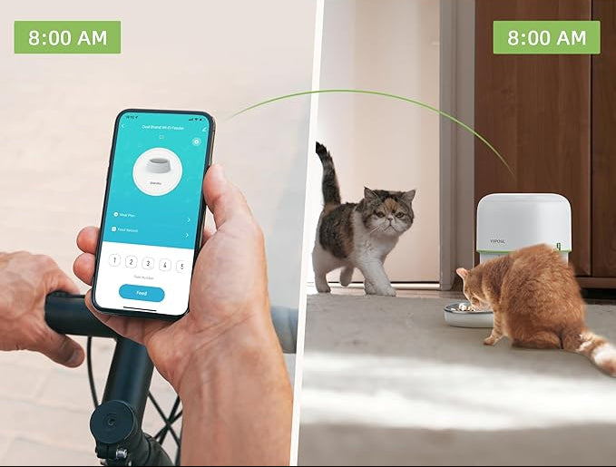 Dispensador comedero automático Inteligente para gatos