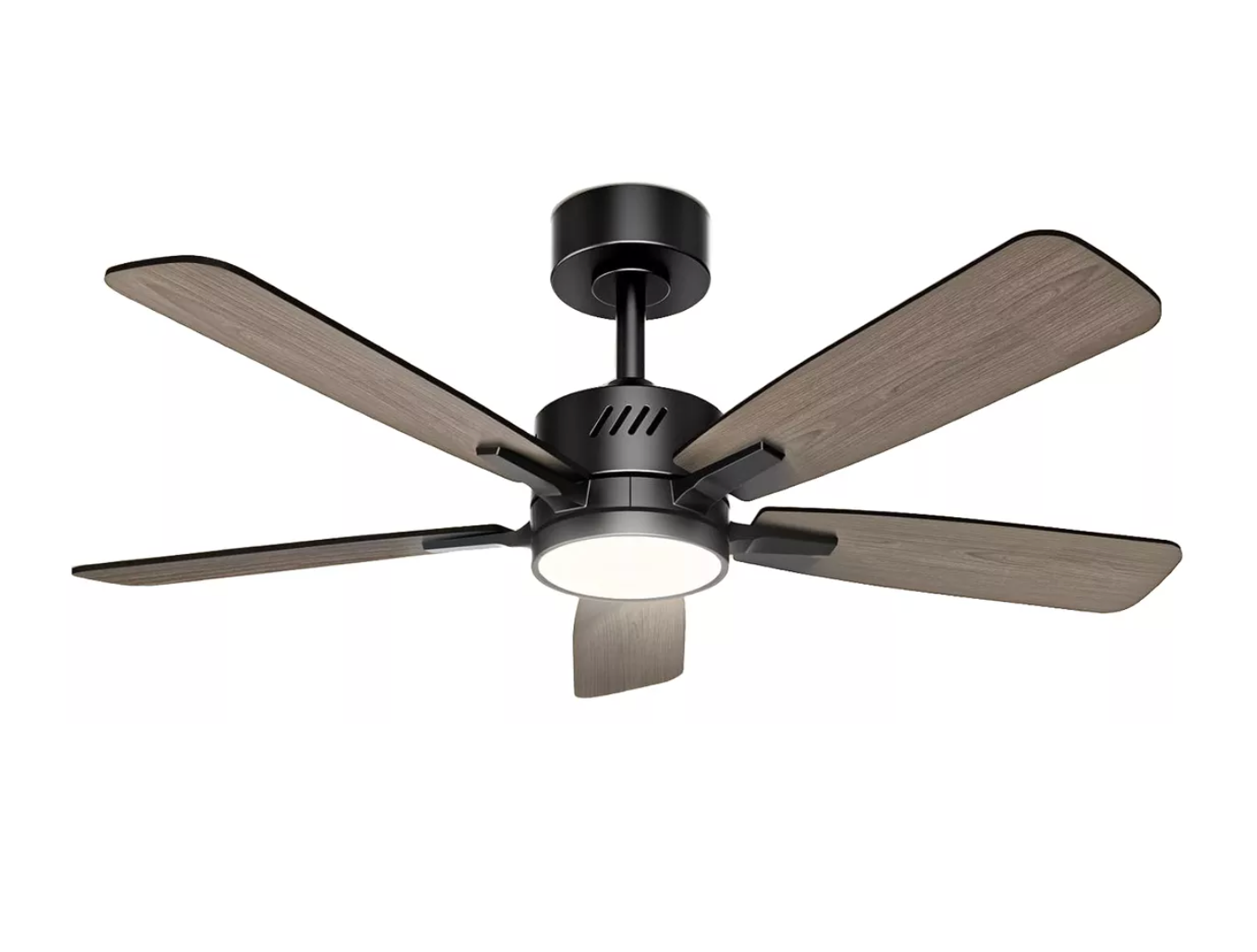 Ventilador de techo con luz LED de globo Prominence Home Alvina