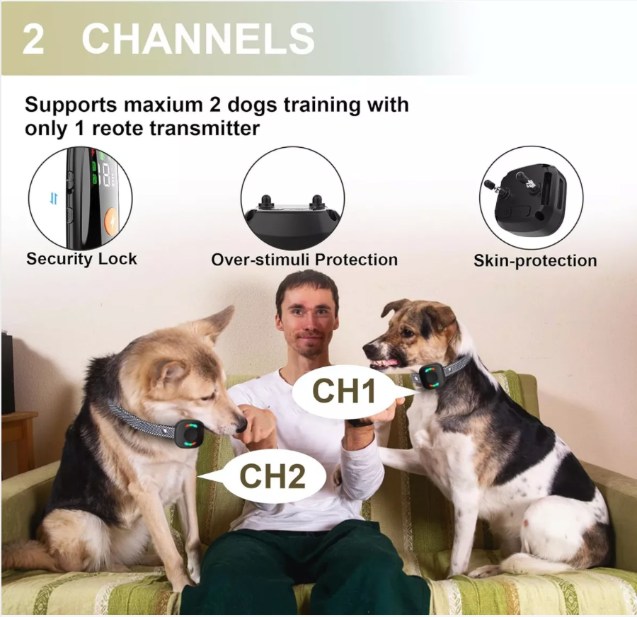 Collar eléctrico de entrenamiento canino recargable
