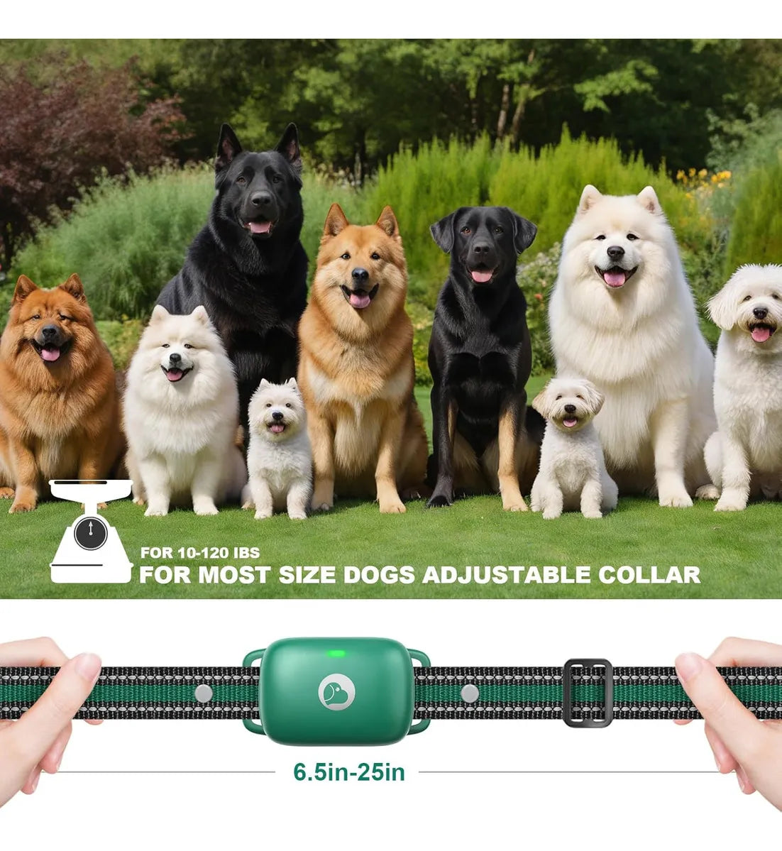 Collares eléctricos para entrenamiento de mascotas