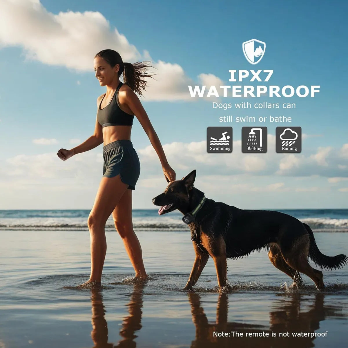 Collares eléctricos para entrenamiento de mascotas