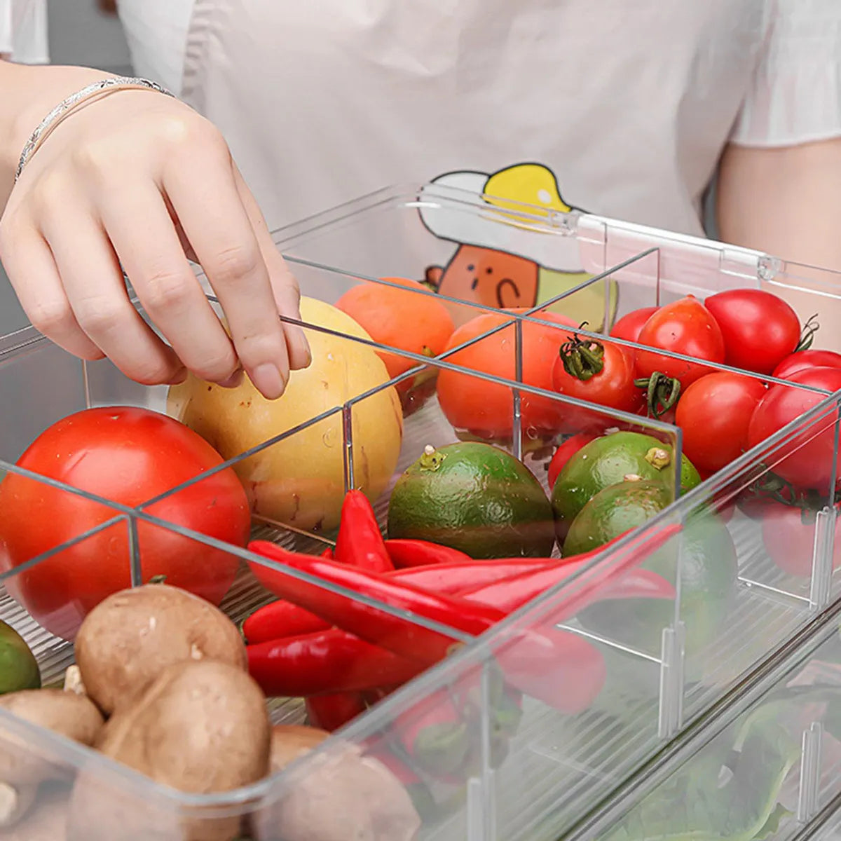 Contenedores organizadores en rectángulo