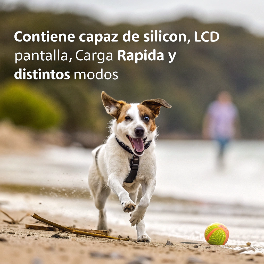 Collar eléctrico de entrenamiento canino recargable