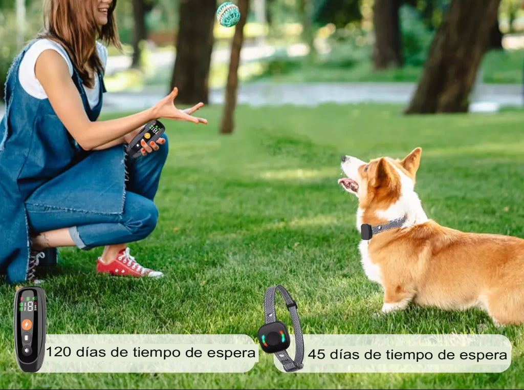 Collar eléctrico de entrenamiento canino recargable